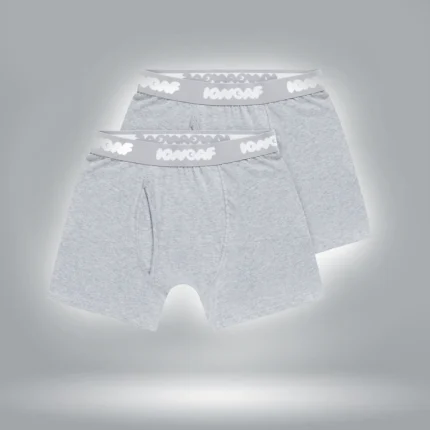 Chonies Boxer Briefs Gray (1)