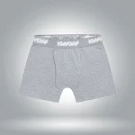 Chonies Boxer Briefs Gray