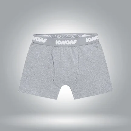 Chonies Boxer Briefs Gray